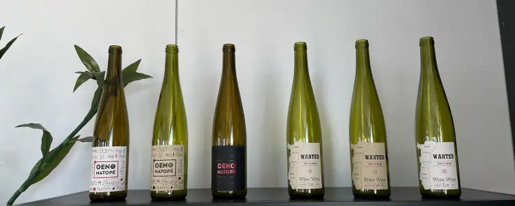 Join us at the Colmar Wine Fair