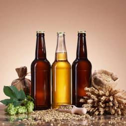 Beer bottle