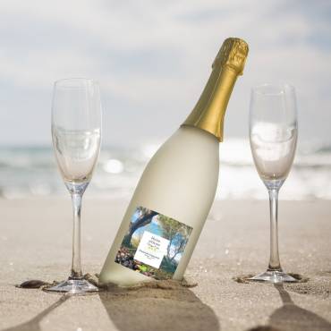 Domaine Lamamra v2025