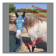 Étiquette créée de noemie b.