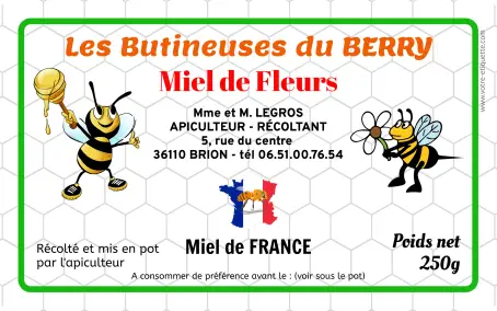 Étiquette personnalisée pour miel de fleurs artisanale et originale