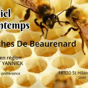 Étiquette personnalisée pour miel de printemps, artisanale et professionnelle