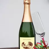 Étiquette de vin personnalisée Bordeaux – Domaine du Vignoble, modèle Saint-Émilion classique