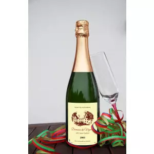 personalized bordeaux wine label – domaine du vignoble, classic saint-émilion design