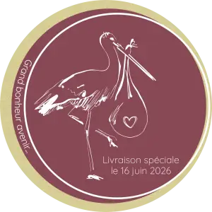 custom round label for girl birth, stork accent