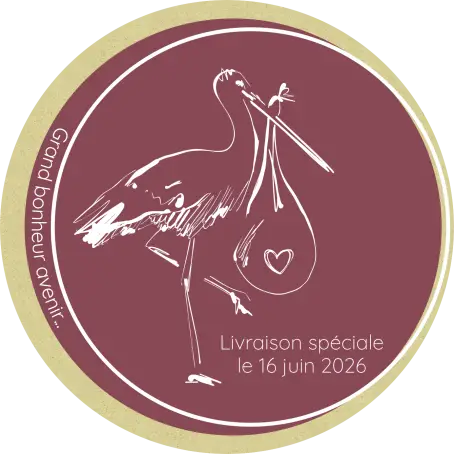 Étiquette personnalisée ronde pour naissance fille, cigogne
