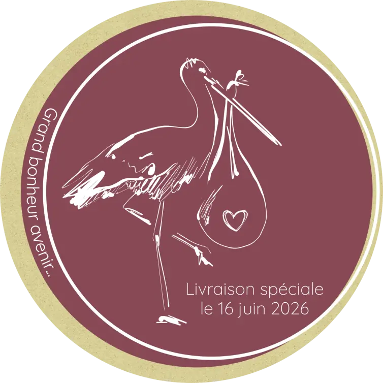 Custom round label for girl birth, stork accent