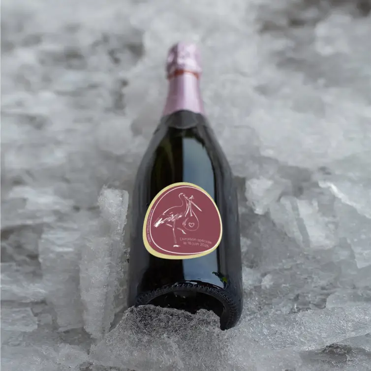 Custom round label for girl birth, stork accent