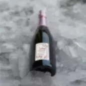 Étiquette personnalisée pour bouteille de vin – Design musical élégant pour vin de Bordeaux