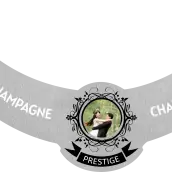 Custom champagne neck label, brushed silver design with photo