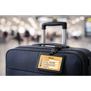 gepersonaliseerd gekleurd bagagelabel