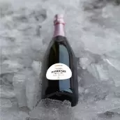 Custom label for brut champagne special cuvée – elegance and simplicity