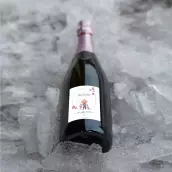 Étiquette de naissance personnalisée Nathan – une création joyeuse et tendre pour fêter une arrivée