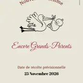 Personalized label to announce a pregnancy to grandparents