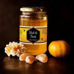 custom label for forest honey with artisanal design and legal information