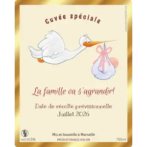 créez un souvenir unique pour partager la bonne nouvelle avec émotion